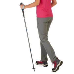 Forclaz Pole from Decathlon